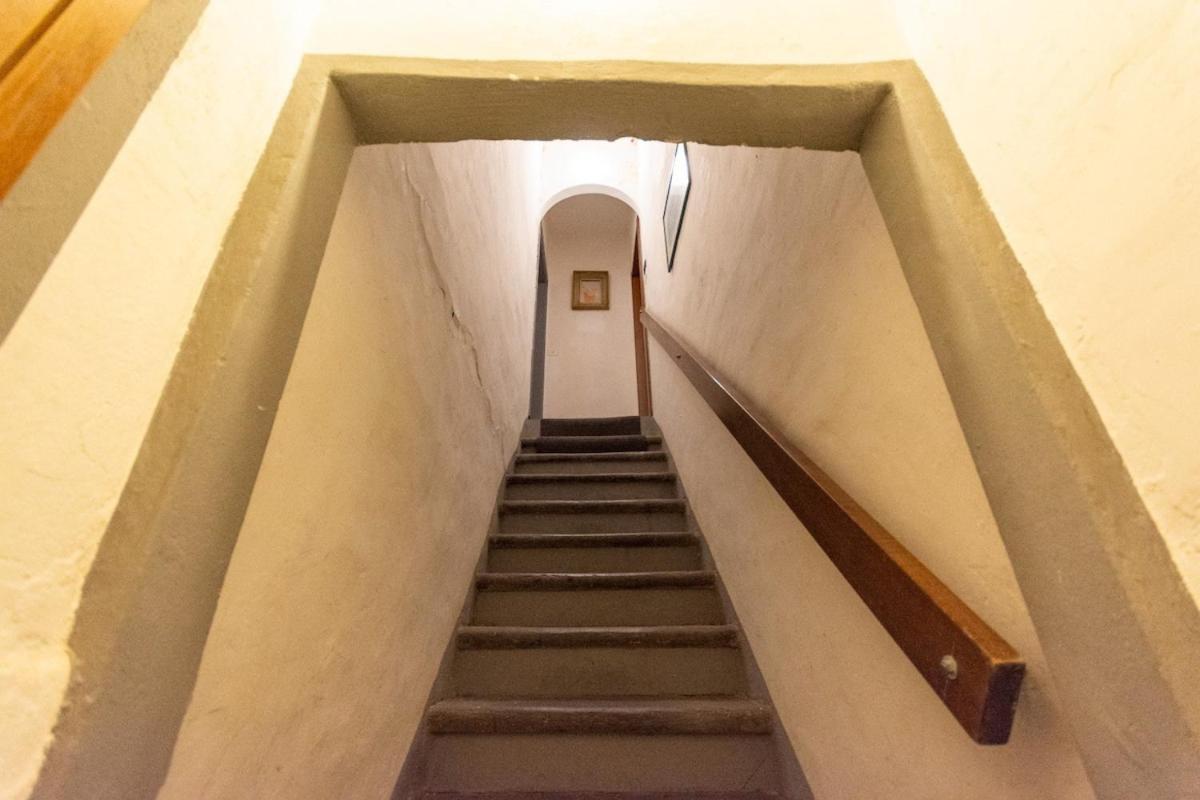 Lovely Apartamento